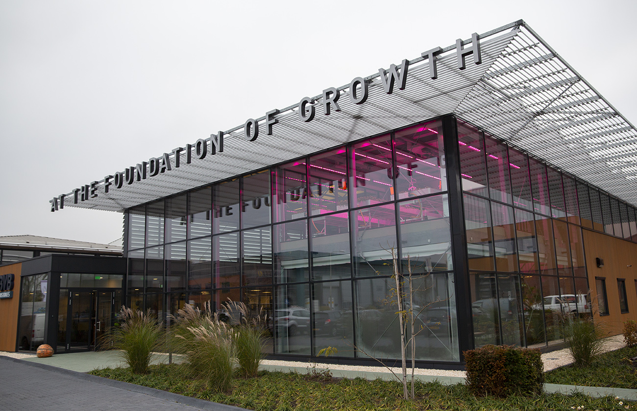 BVB Landscaping Contact