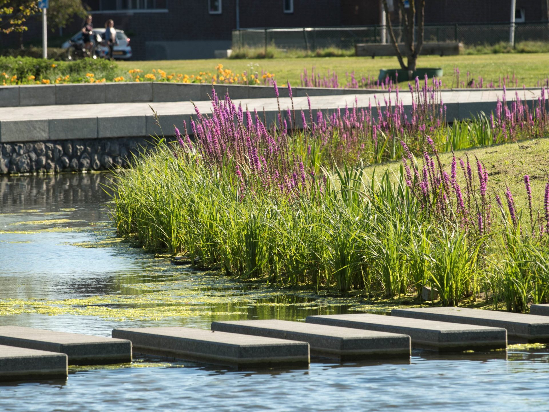 BVB Landscaping Helmond Geukerspark kwaliteit duurzaamheid BVB Landscaping Helmond Geukerspark kwaliteit duurzaamheid