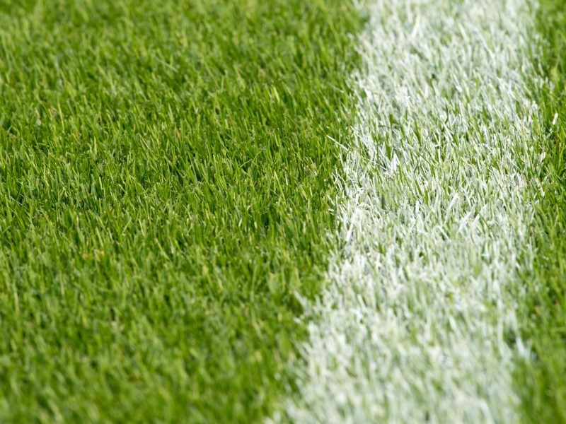 BVB Landscaping Rotterdam Feyenoord grasmat voetbalveld sportveld golfbaan aanleg onderhoud dressgrond