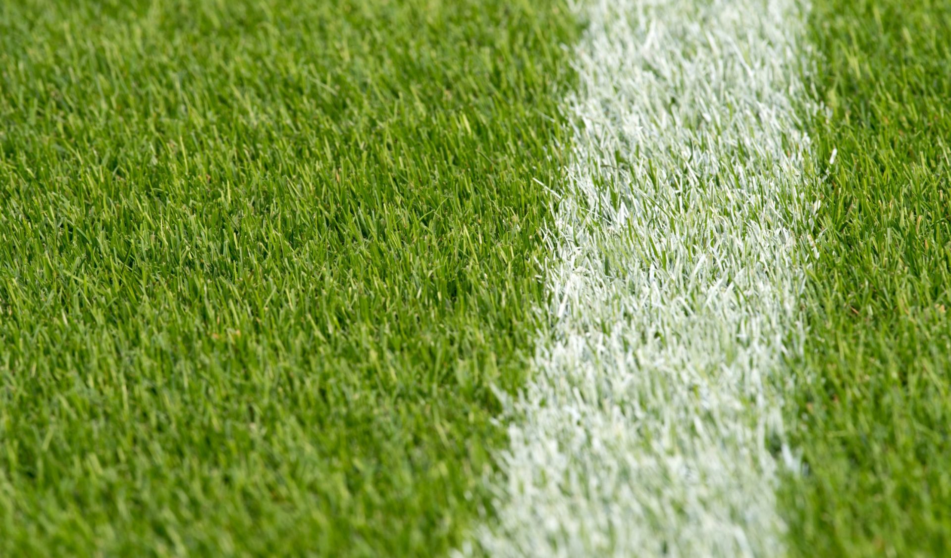BVB Landscaping Rotterdam Feyenoord grasmat voetbalveld sportveld golfbaan aanleg onderhoud dressgrond