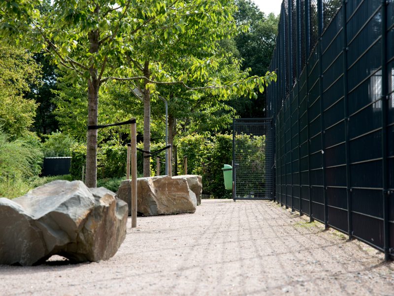 BVB Landscaping Terspegelt Eersel halfverharding