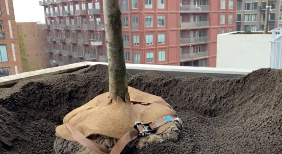 trudo toren aanplant bomen 2 trudo toren aanplant bomen 2