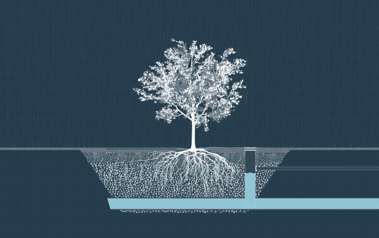 BVB Landscaping Citykross watermanagement openbaar groen ondergrondse groeiplaats substraat stadsbomen