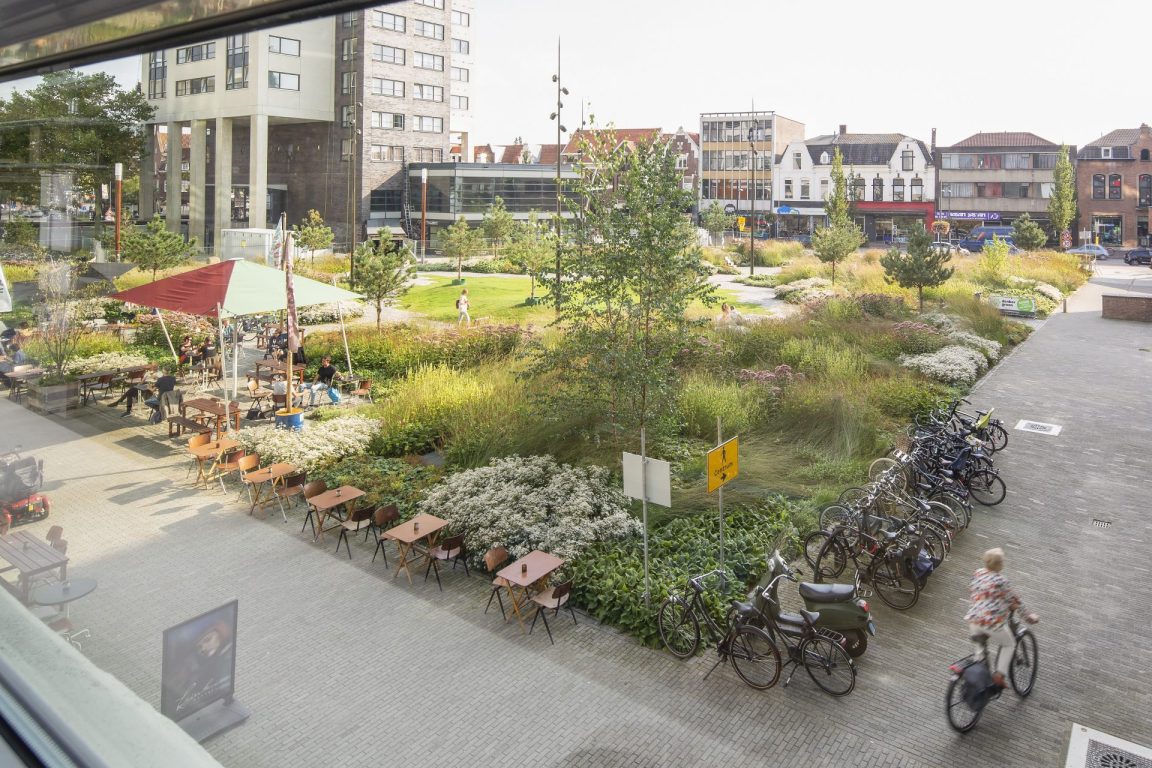 BVB Landscaping Clausplein Eindhoven daktuinsubstraat retentiedak overzicht