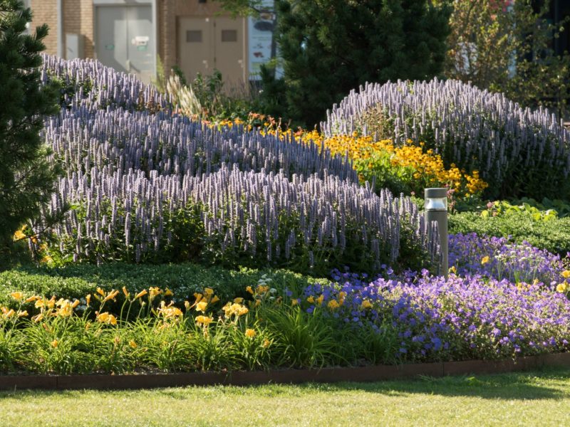 BVB Landscaping Helmond Geukerspark Green to Colour border