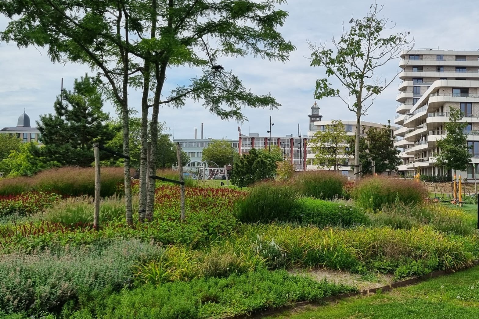 Helmond Geukerspark open grond substraat De Weef