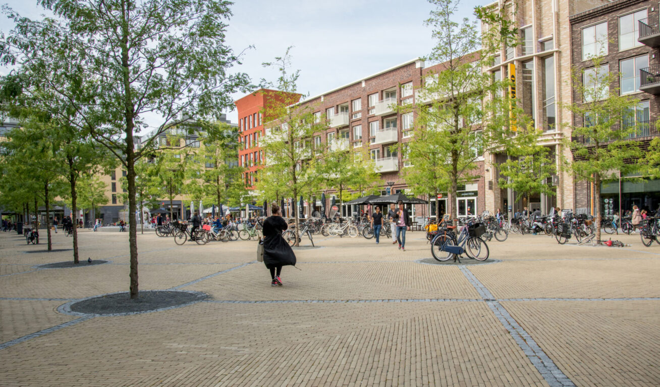 BVB Landscaping Utrecht Brusselplein gleditsia in verharding