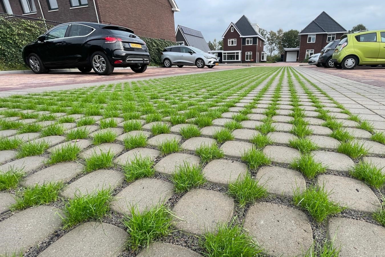 BVB Landscaping Park Positive funderingssubstraat Ommen groene rijbaan (1)