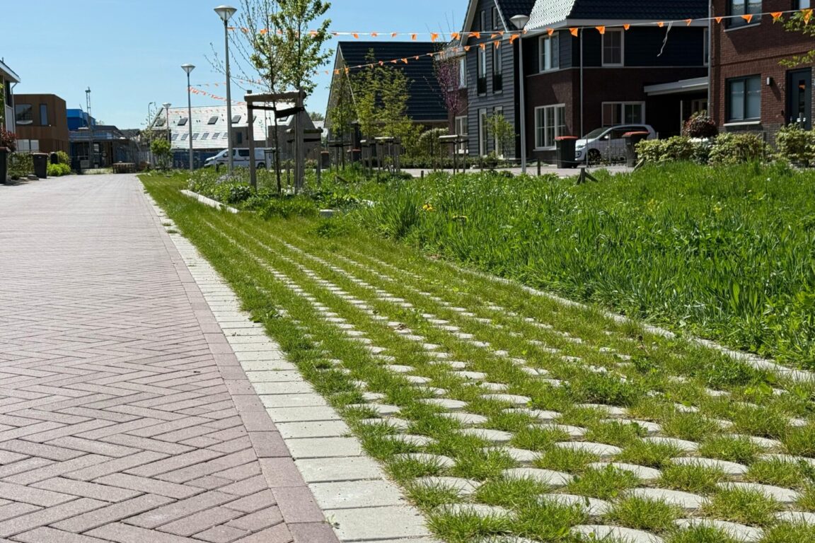 BVB Landscaping Park Positive grastegelsubstraat Ommen groen parkeren (5)