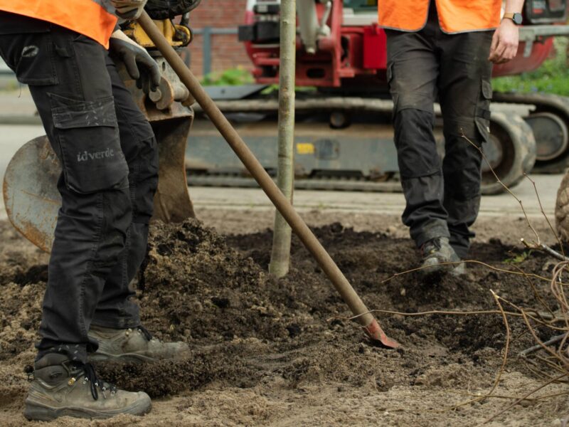 BVB Landscaping opwaarderen bodem aanplant bomen Nijmegen
