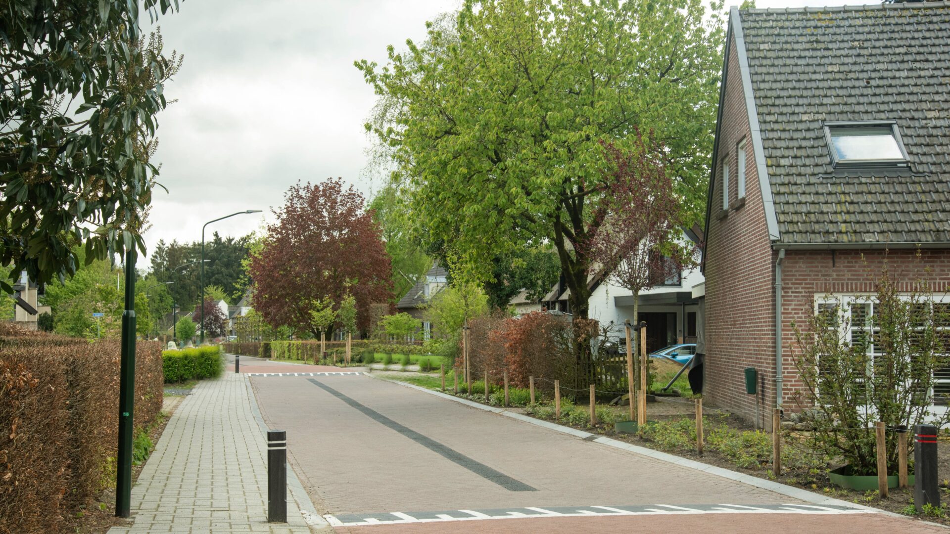 BVB Landscaping Citykross Oirschot