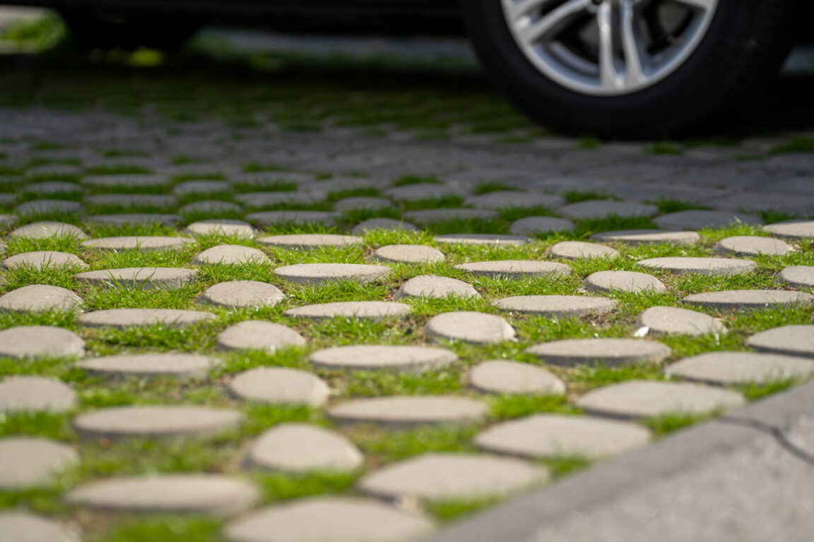 BVB Landscaping © Alyssa van Heyst Photography 2024 / www.alyssavanheyst.nl