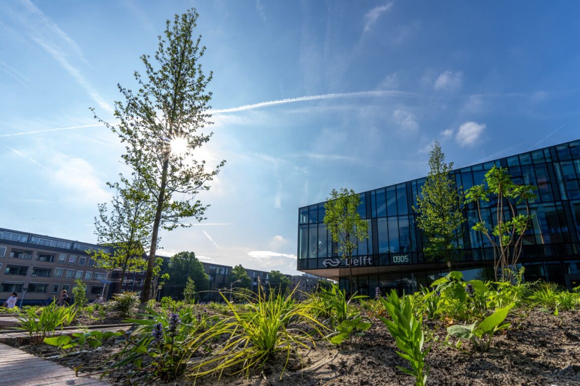 BVB Landscaping daktuinsubstraat Delft Houttuinen