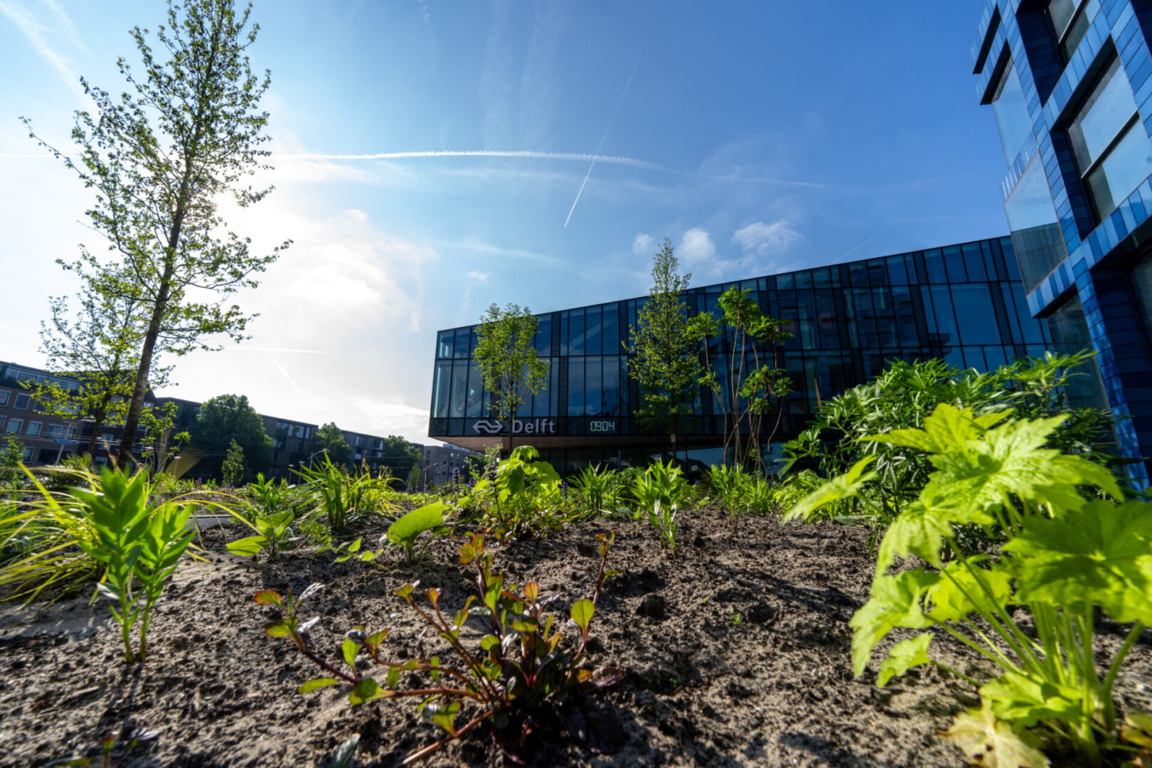 BVB Landscaping daktuinsubstraat Delft Houttuinen