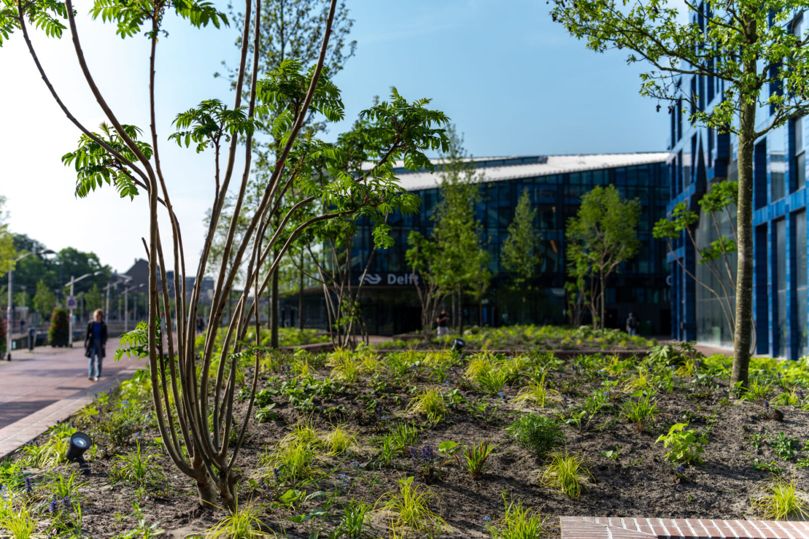 BVB Landscaping daktuinsubstraat Delft Houttuinen