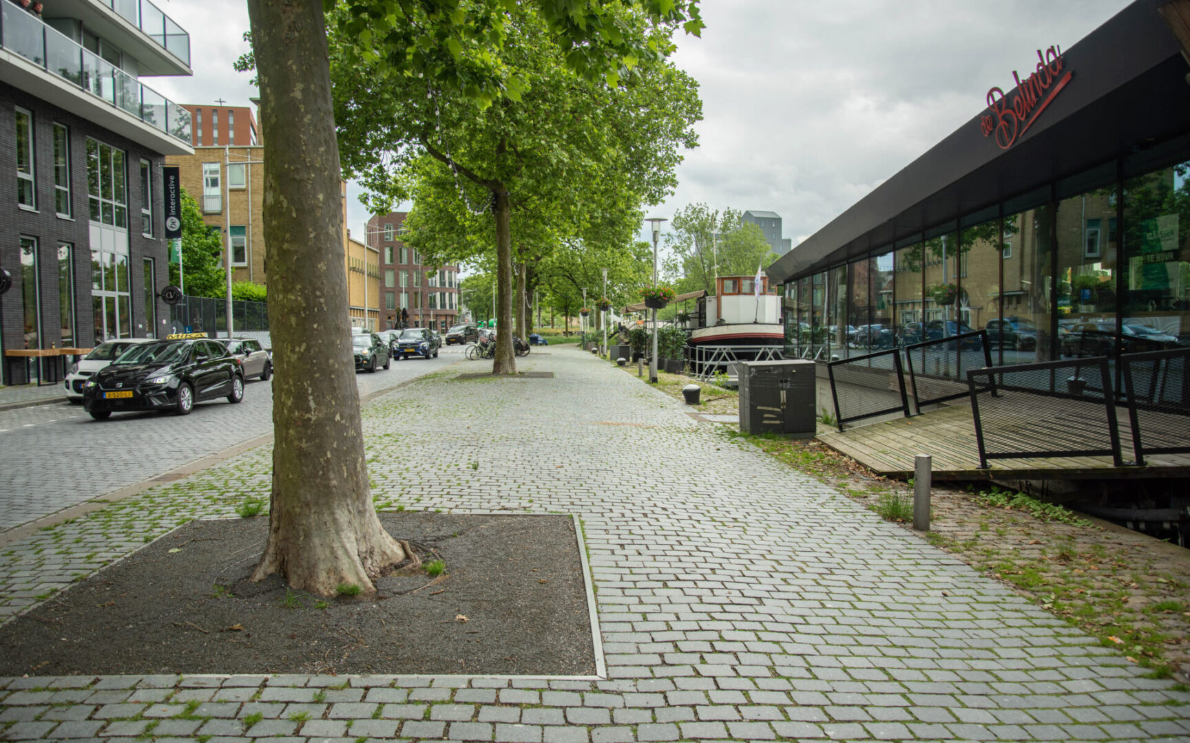 BVB Landscaping Piushaven Tilburg bomensubstraat urbansand stadsbomen