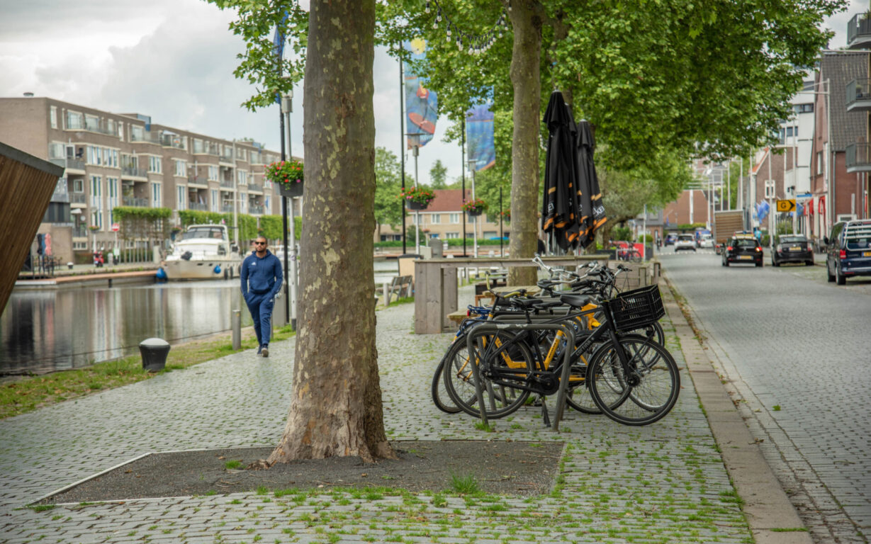 BVB Landscaping Piushaven Tilburg bomensubstraat urbansand stadsbomen