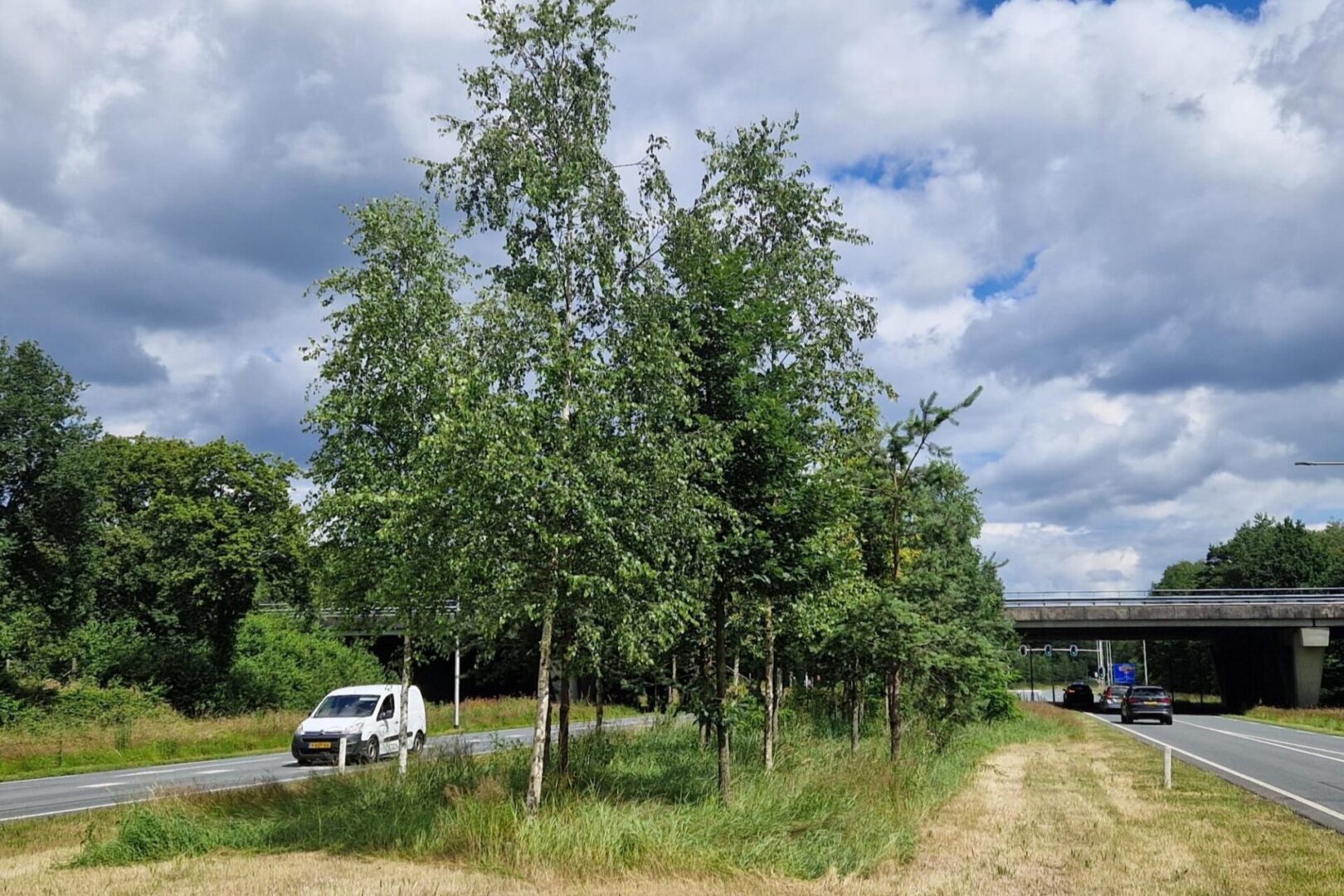 BVB Landscaping bodem opwaarderen Apeldoorn berm