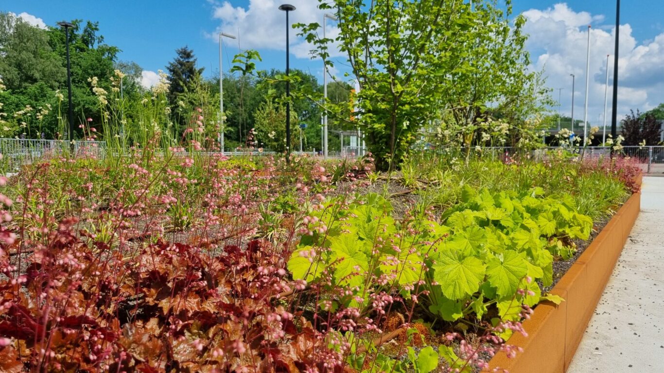 BVB Landscaping daktuinsubstraat Gelre ziekenhuis Apeldoorn