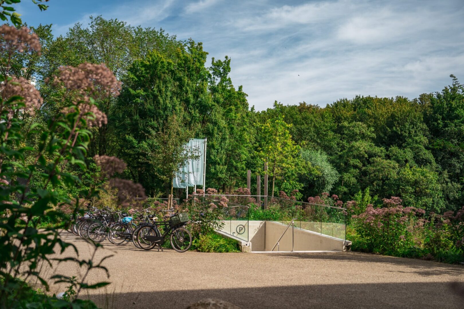 BVB Landscaping - Rembrandtpark Amsterdam