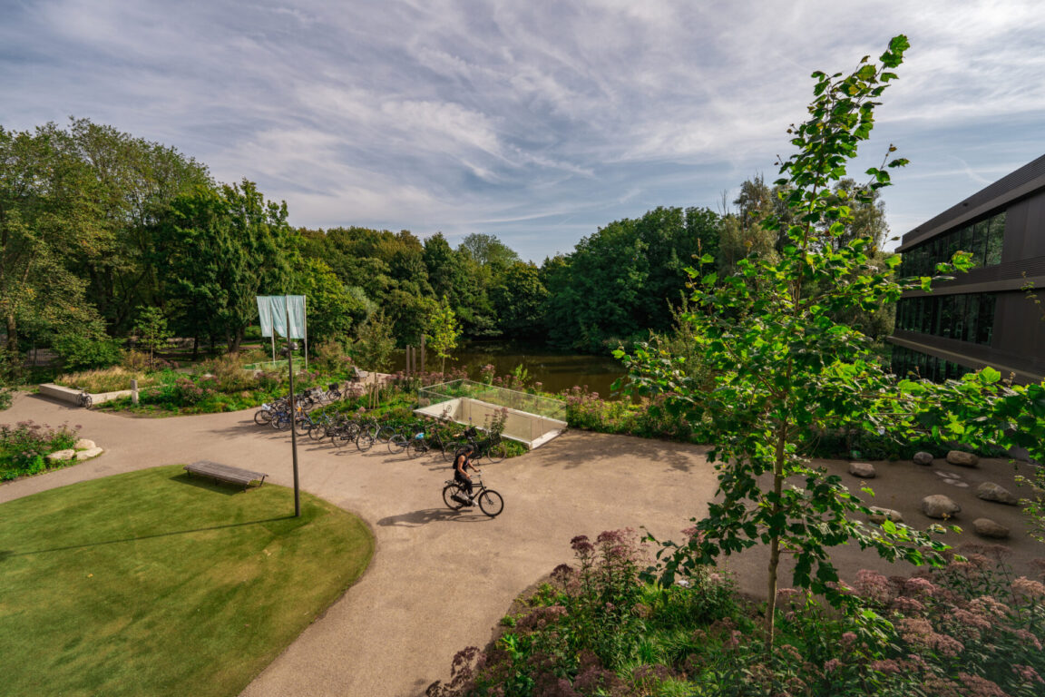 BVB Landscaping - Rembrandtpark Amsterdam