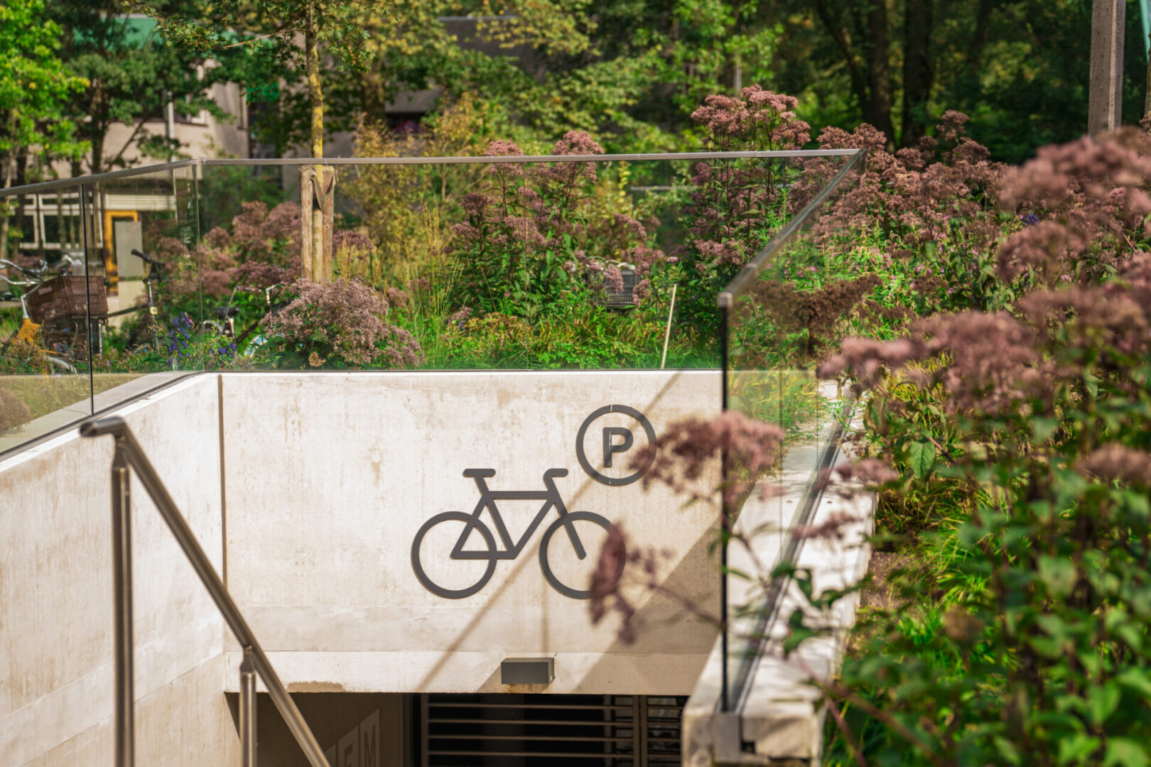 BVB Landscaping - Rembrandtpark Amsterdam fietsenstalling