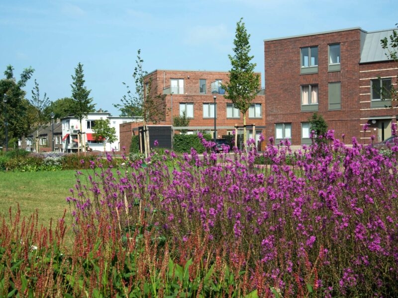 BVB Landscaping veenvrij turfvrij GreentoColour substraat RENEW Helmond