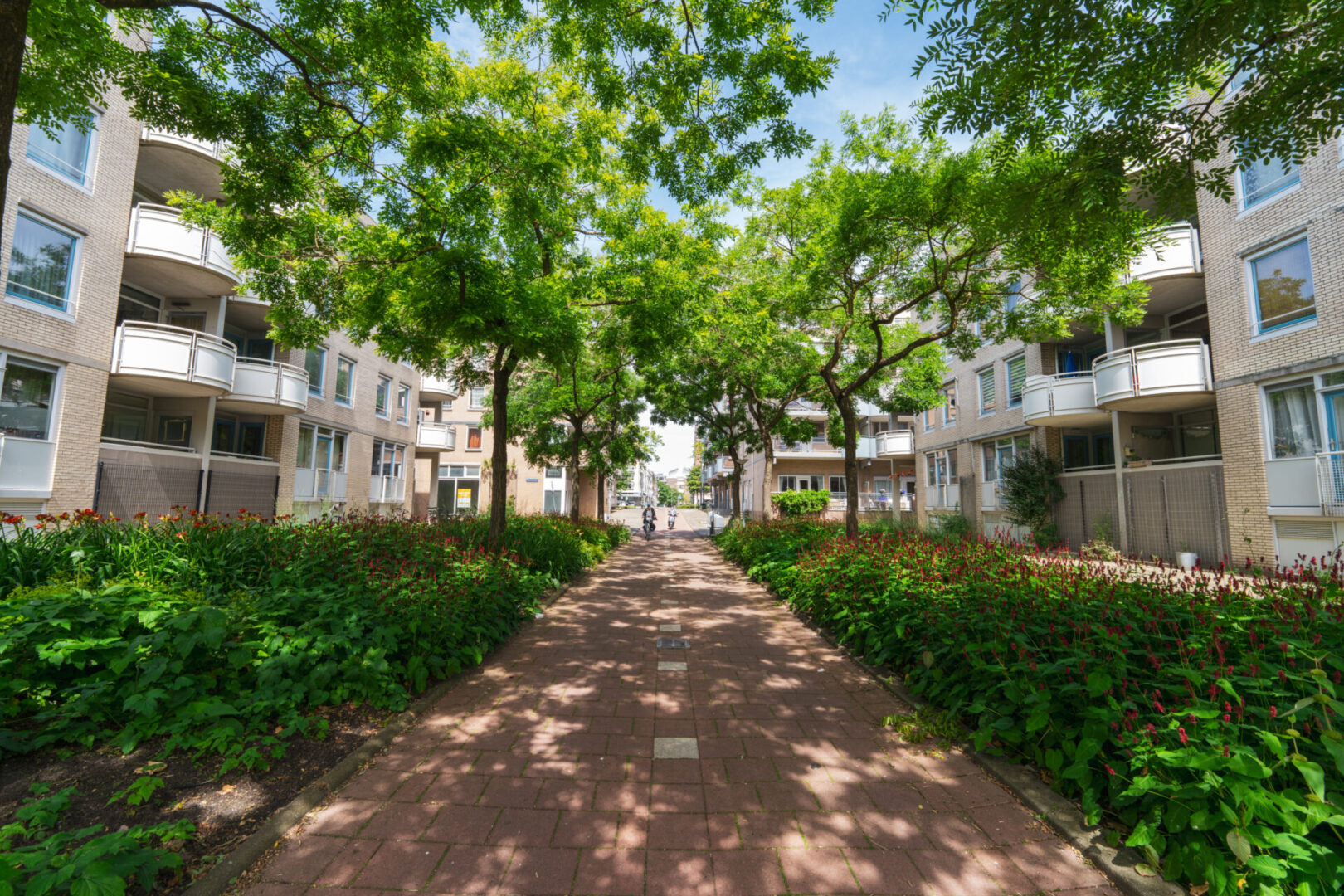 BVB Landscaping Rotterdam Hooimarkt GreentoColour BVB Landscaping Rotterdam Hooimarkt GreentoColour