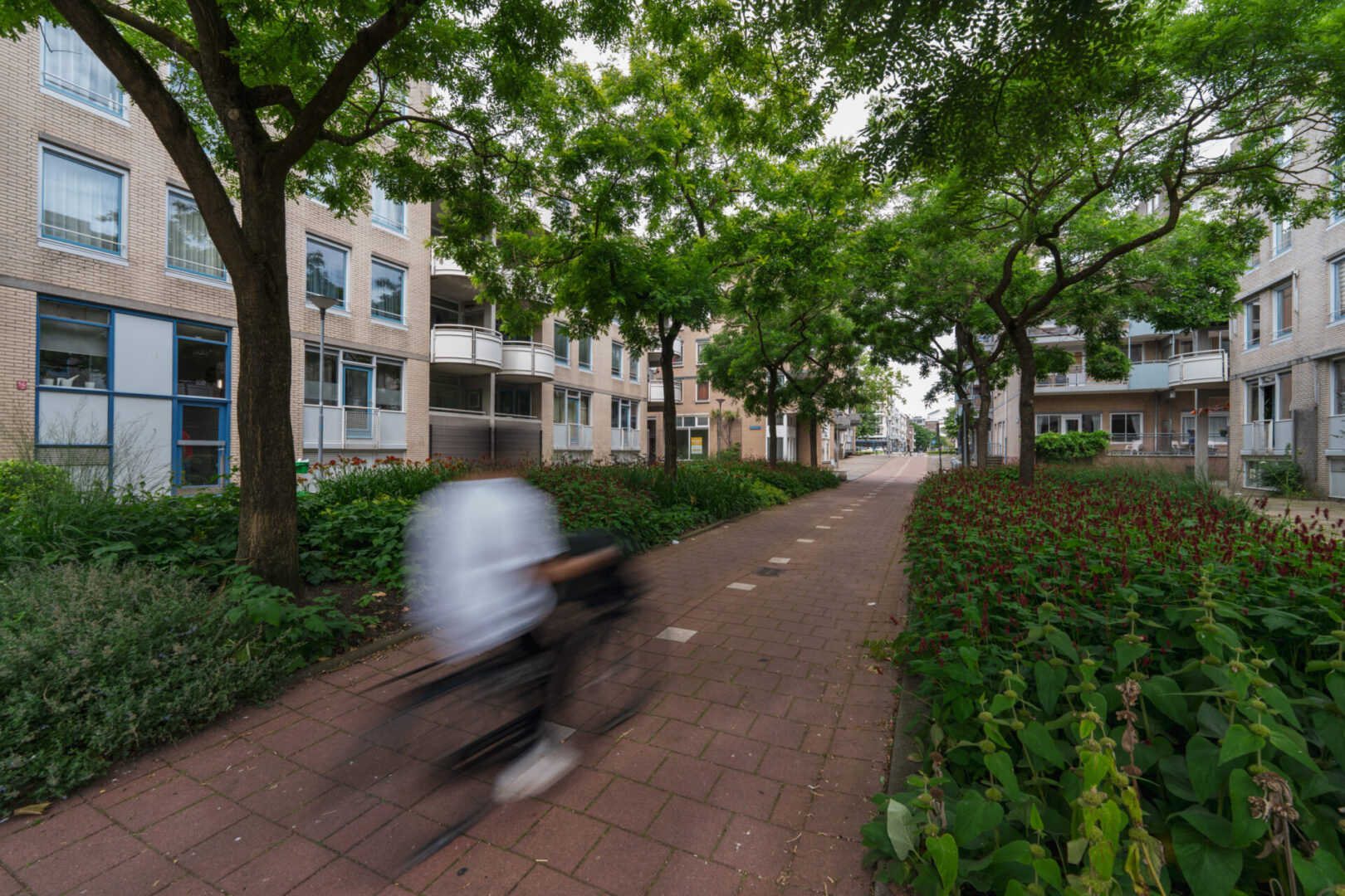 BVB Landscaping Rotterdam Hooimarkt GreentoColour BVB Landscaping Rotterdam Hooimarkt GreentoColour