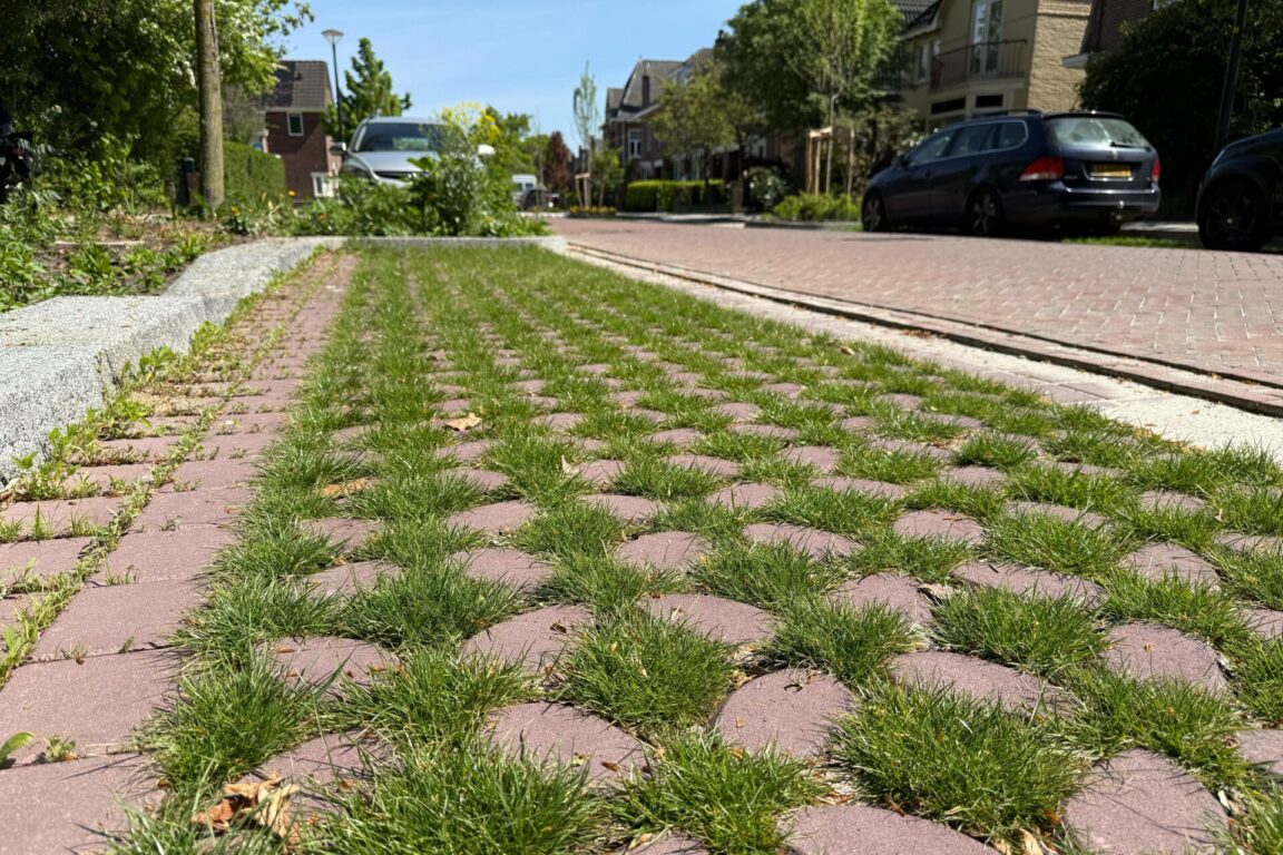 BVB Landscaping Park Positive groene parkeerplaats substraat Enschede Loudonlaan (1)