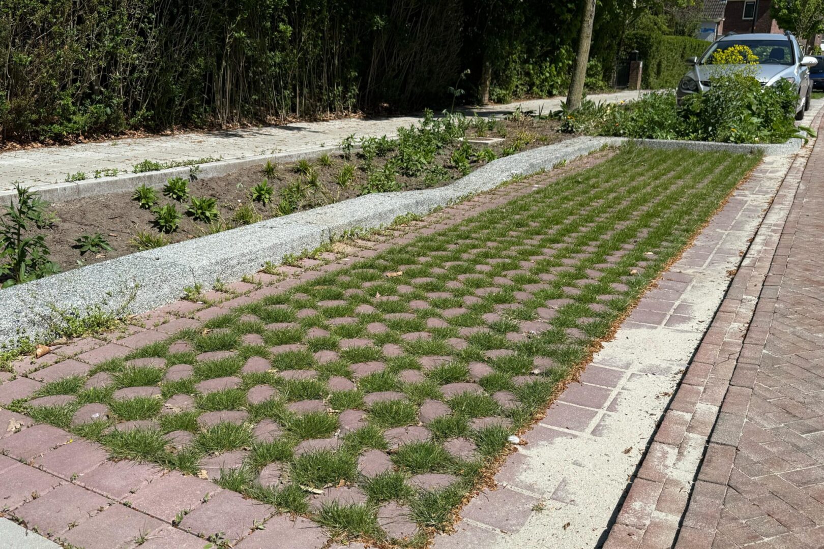 BVB Landscaping Park Positive groene parkeerplaats substraat Enschede Loudonlaan (2)