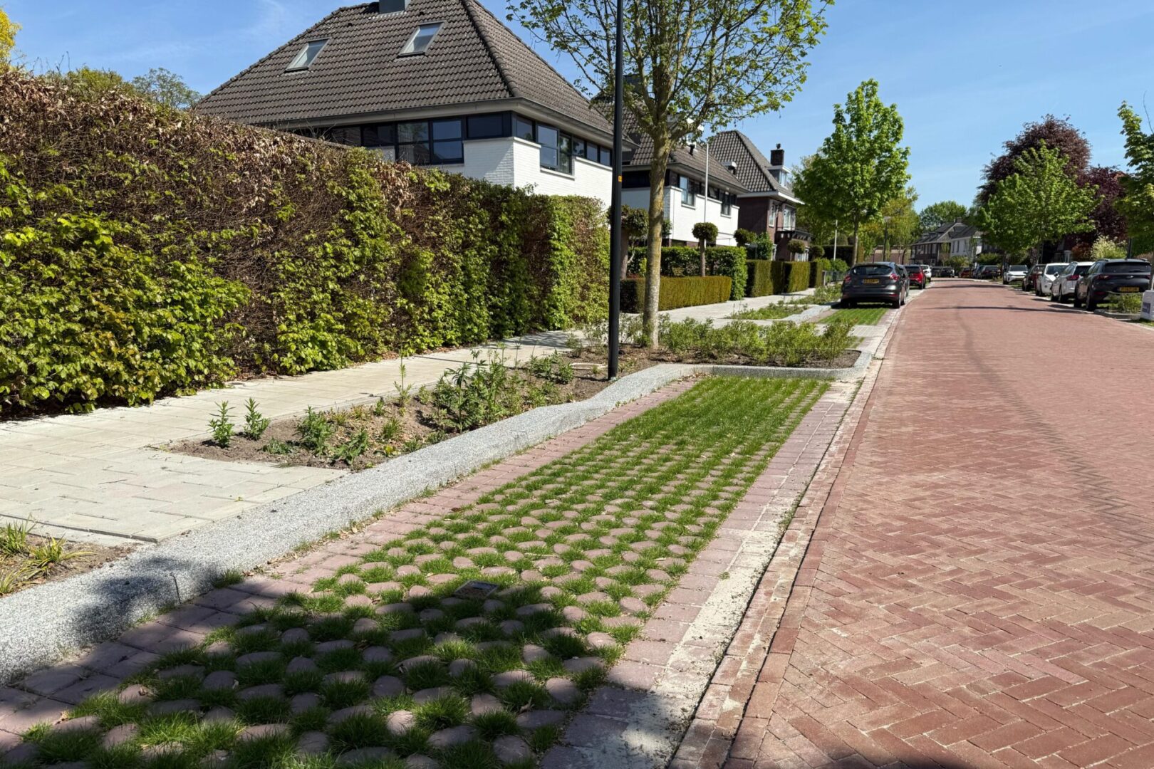 BVB Landscaping Park Positive groene parkeerplaats substraat Enschede Loudonlaan (3)