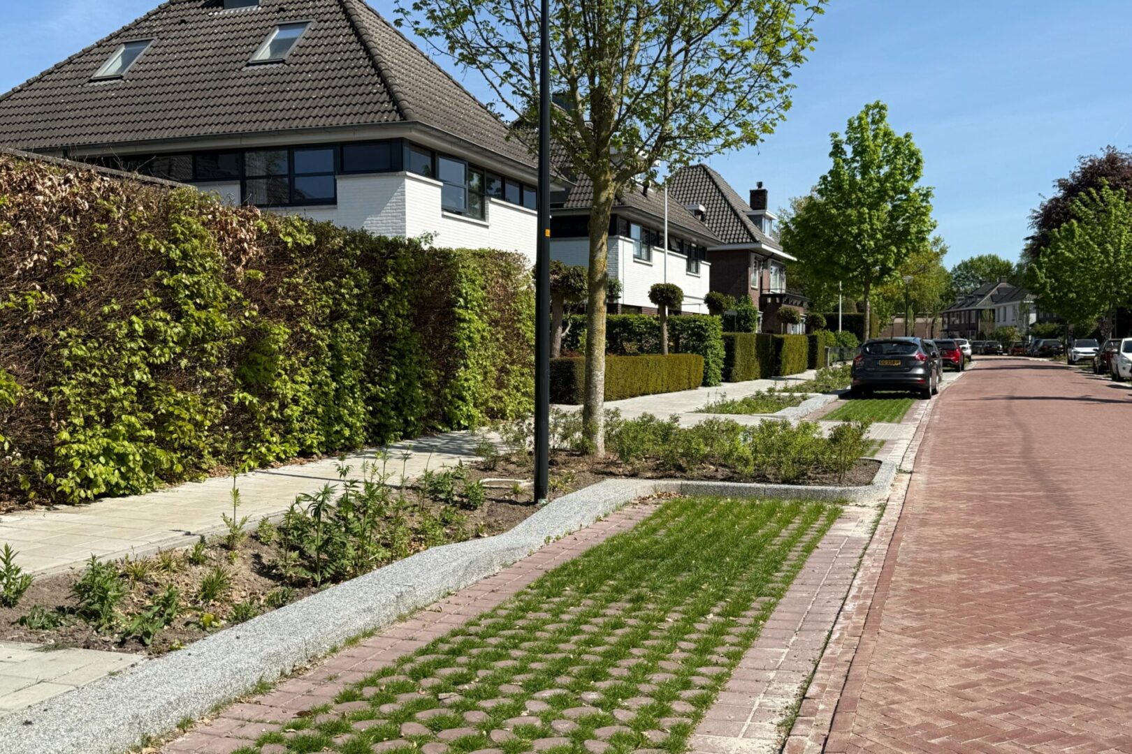 BVB Landscaping Park Positive groene parkeerplaats substraat Enschede Loudonlaan (4)