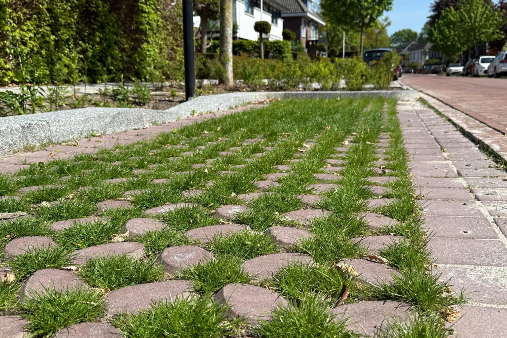 BVB Landscaping Park Positive groene parkeerplaats substraat Enschede Loudonlaan (5)