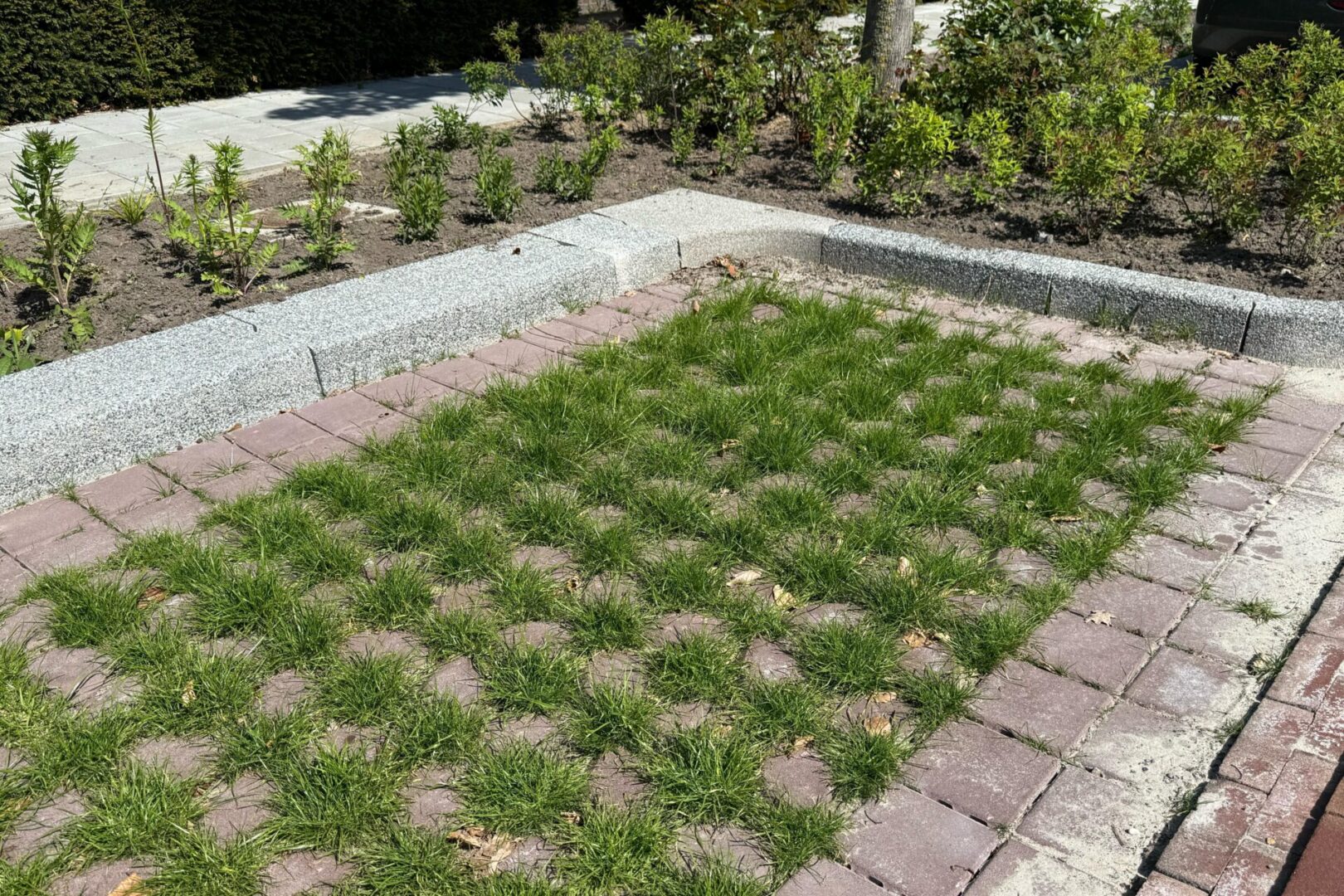 BVB Landscaping Park Positive groene parkeerplaats substraat Enschede Loudonlaan (6)