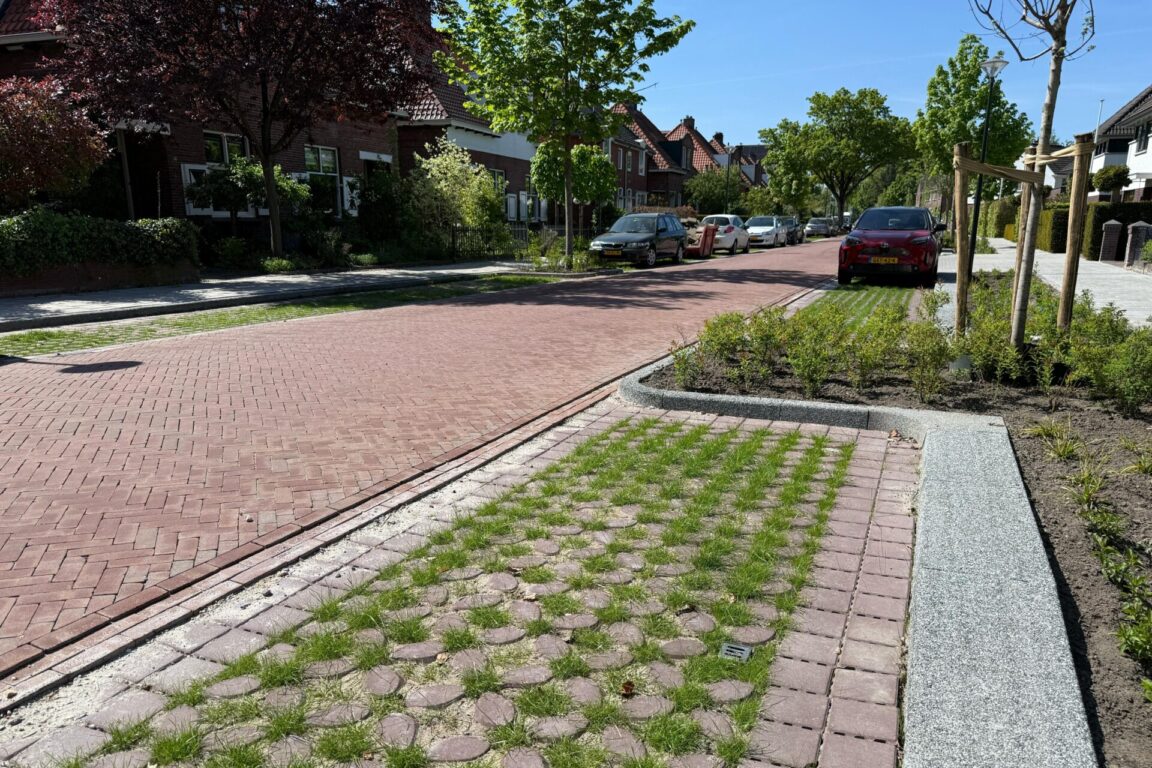 BVB Landscaping Park Positive groene parkeerplaats substraat Enschede Loudonlaan (7)