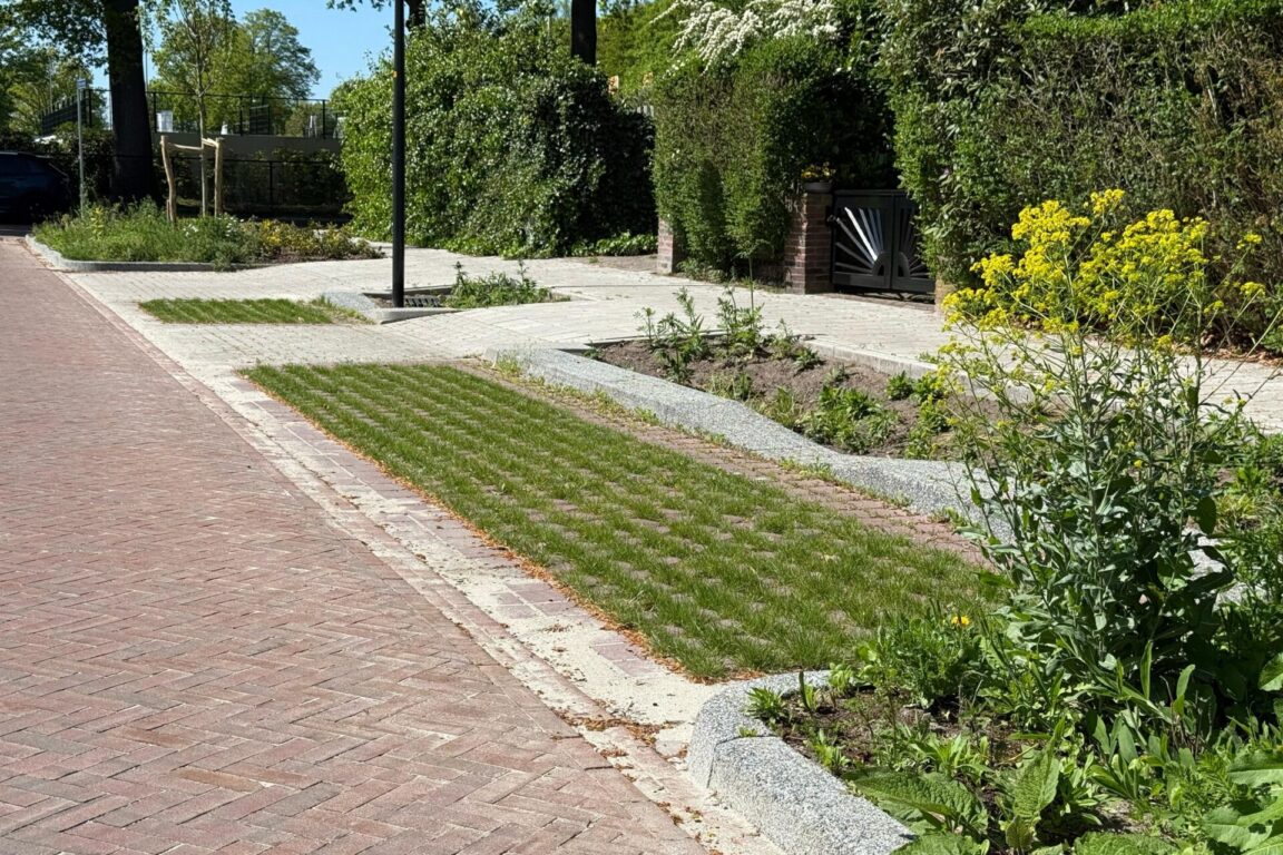 BVB Landscaping Park Positive groene parkeerplaats substraat Enschede Loudonlaan (8)