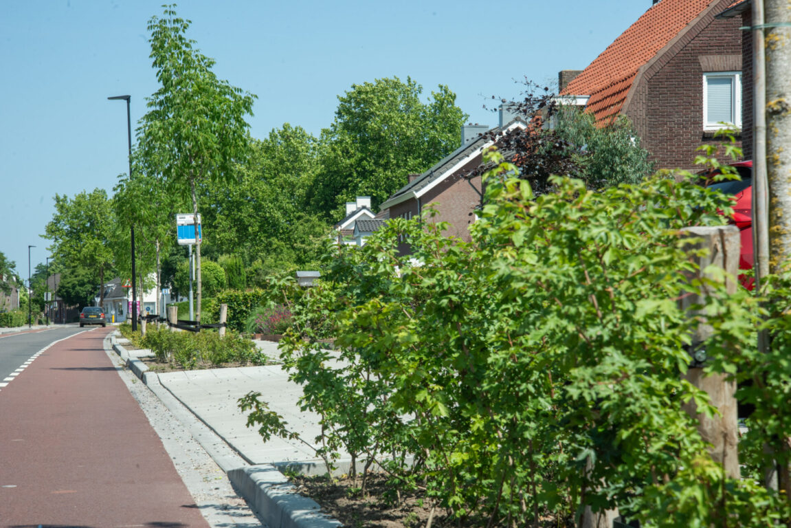 BVB Landscaping Wolfsberg Asten UrbanSand UrbanSubstraat Verrijkt (4)