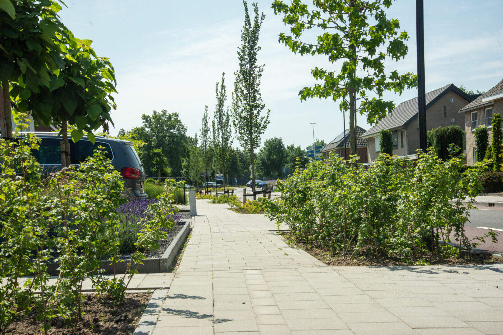 BVB Landscaping Wolfsberg Asten UrbanSand UrbanSubstraat Verrijkt (5)