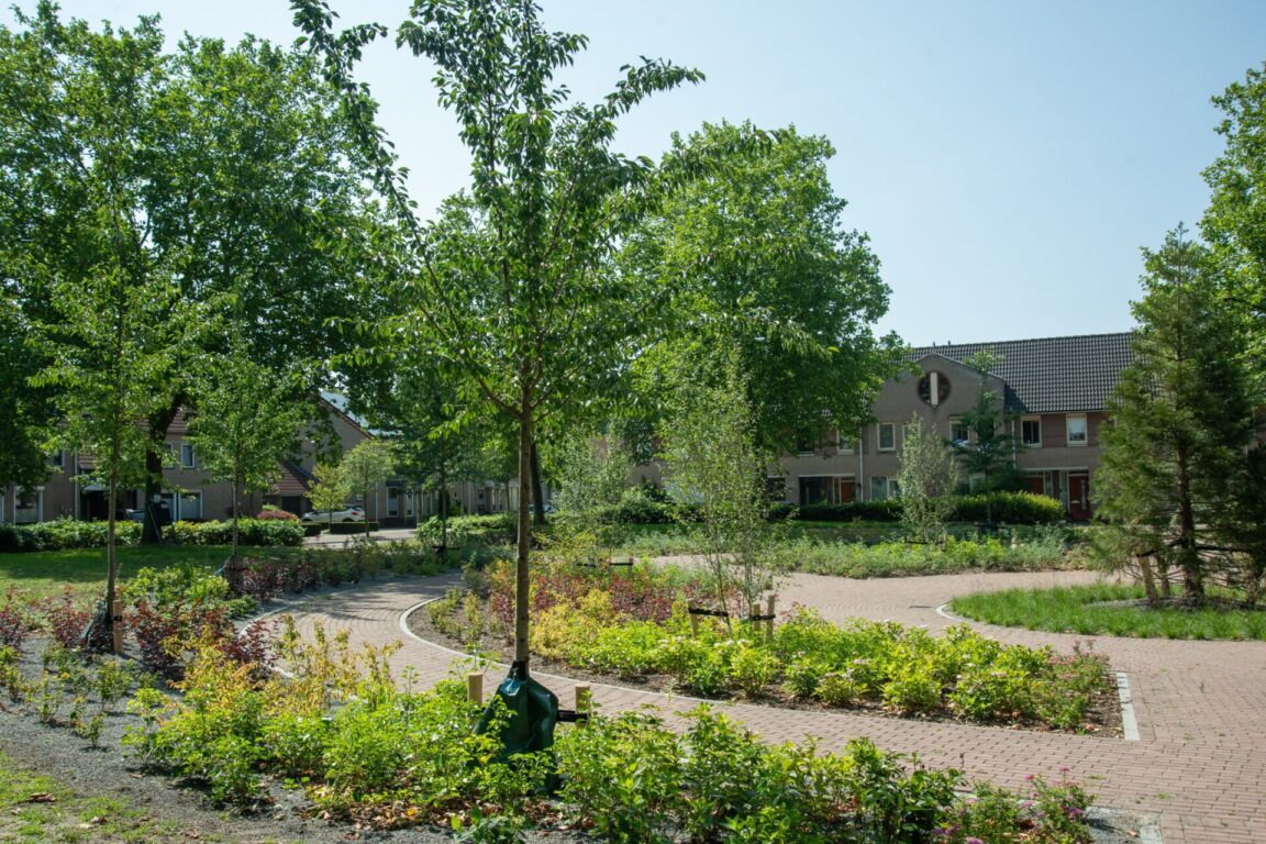 BVB Landscaping Citykross Horst
