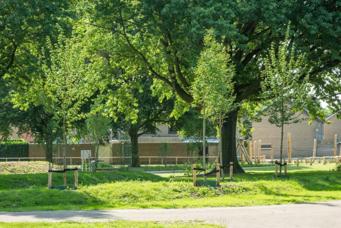 BVB Landscaping Deurne speelpark Verrijkingsmix