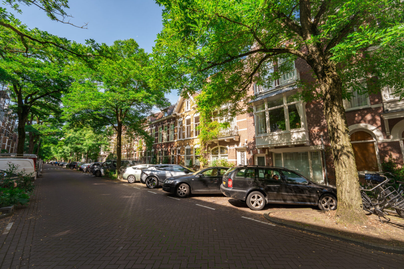 BVB Landscaping Amsterdam Van Breestraat stadsbomen