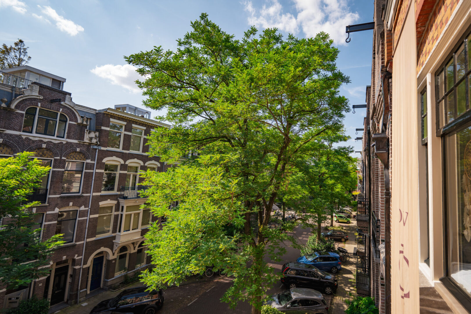 BVB Landscaping Amsterdam Van Breestraat stadsbomen