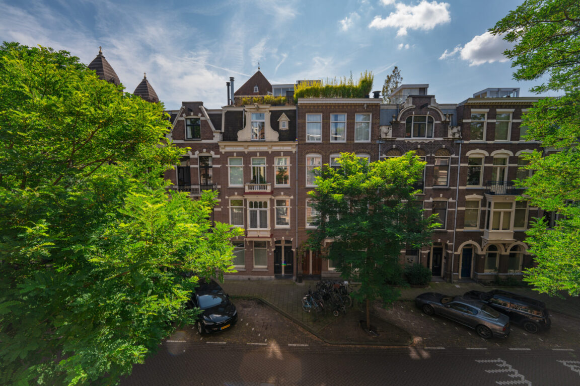 BVB Landscaping Amsterdam Van Breestraat stadsbomen