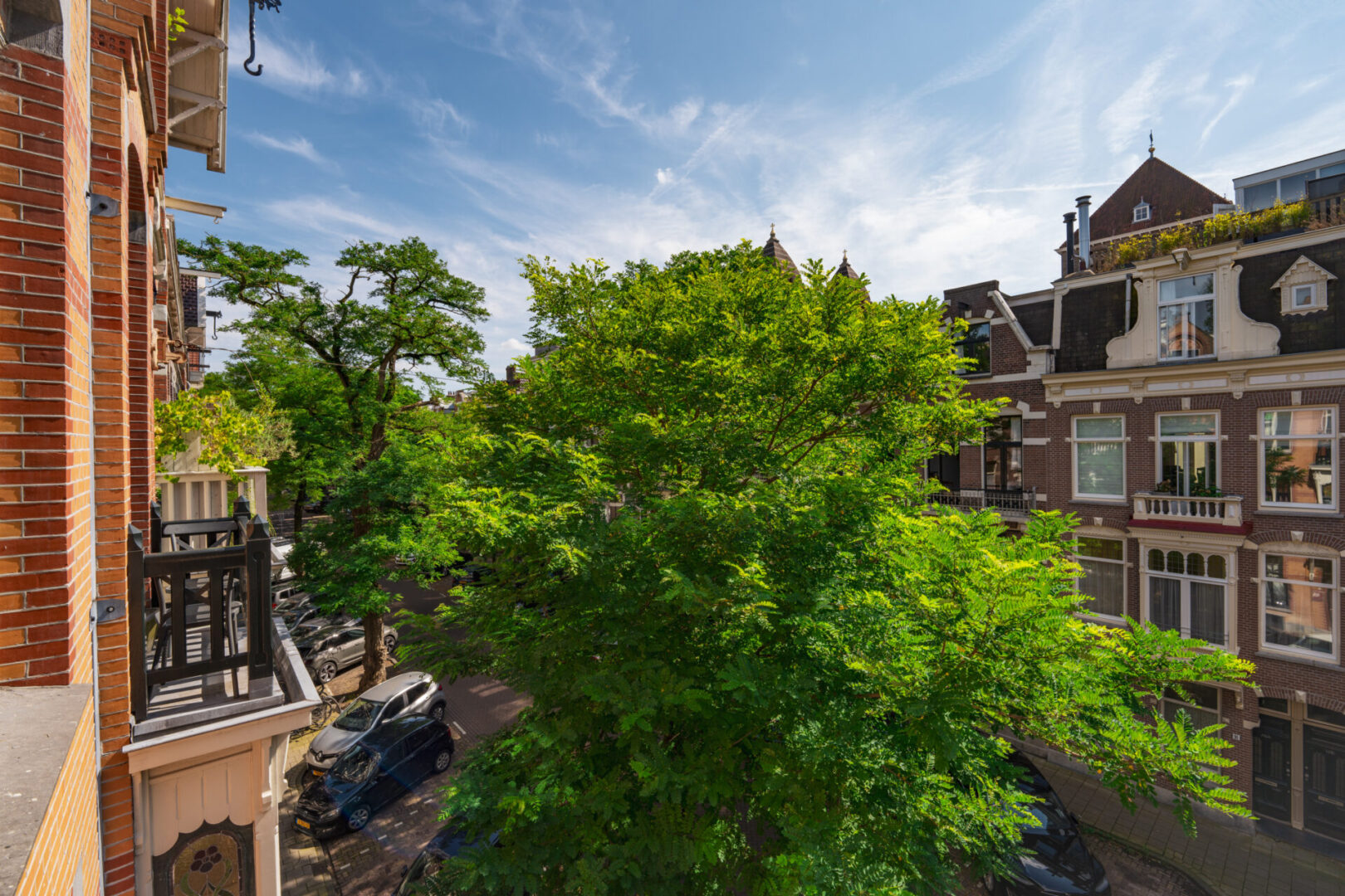 BVB Landscaping Amsterdam Van Breestraat stadsbomen
