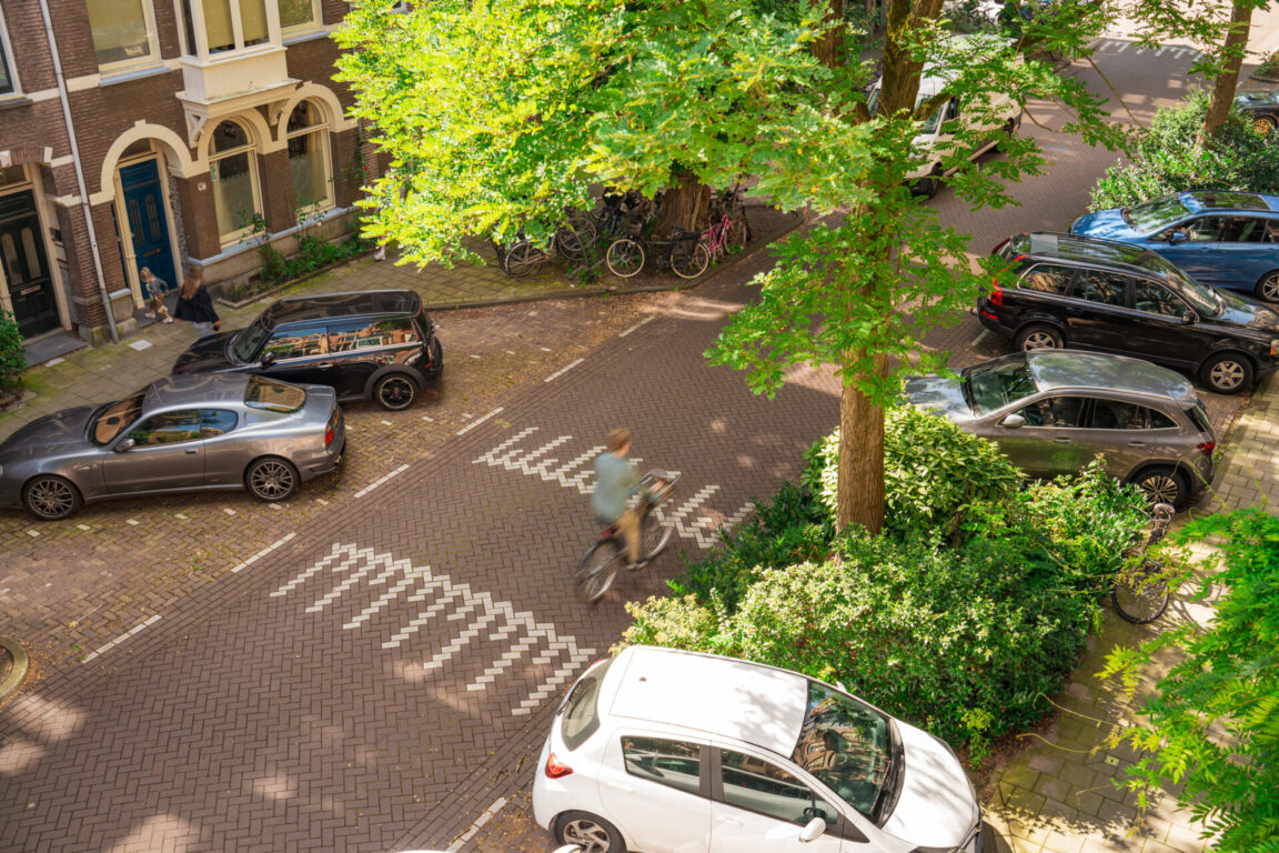 BVB Landscaping Amsterdam Van Breestraat stadsbomen