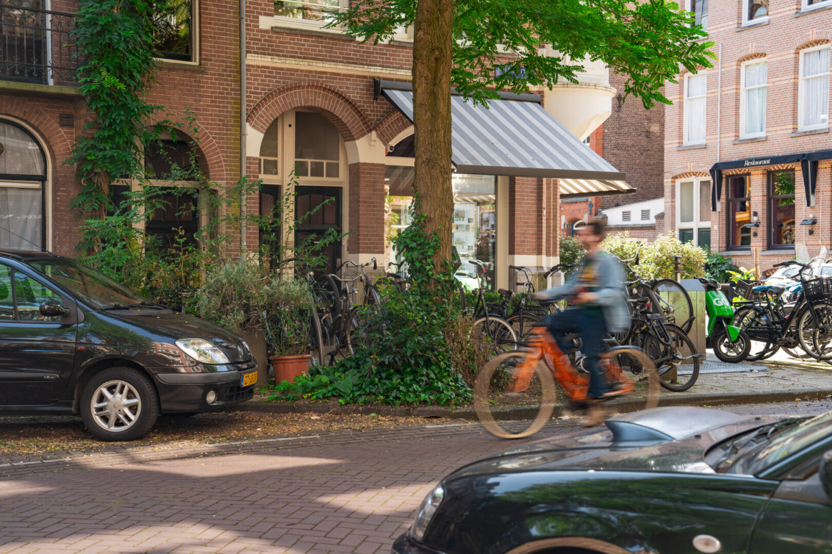 BVB Landscaping Amsterdam Van Breestraat stadsbomen