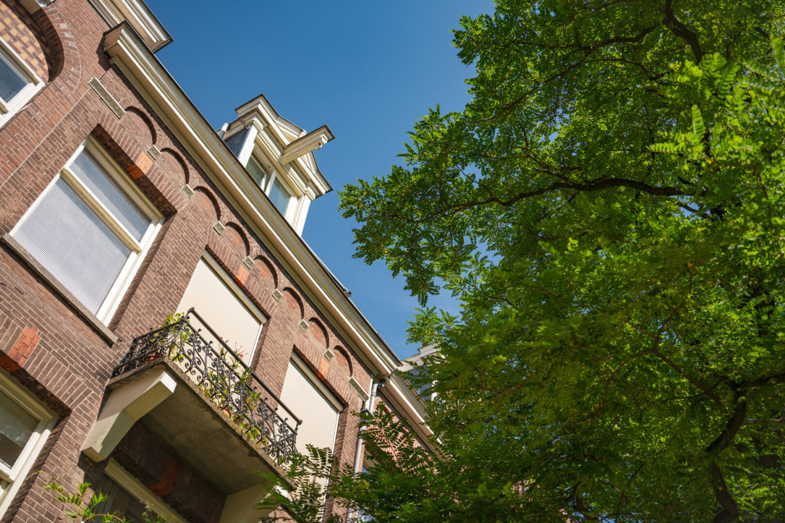 BVB Landscaping Amsterdam Van Breestraat stadsbomen