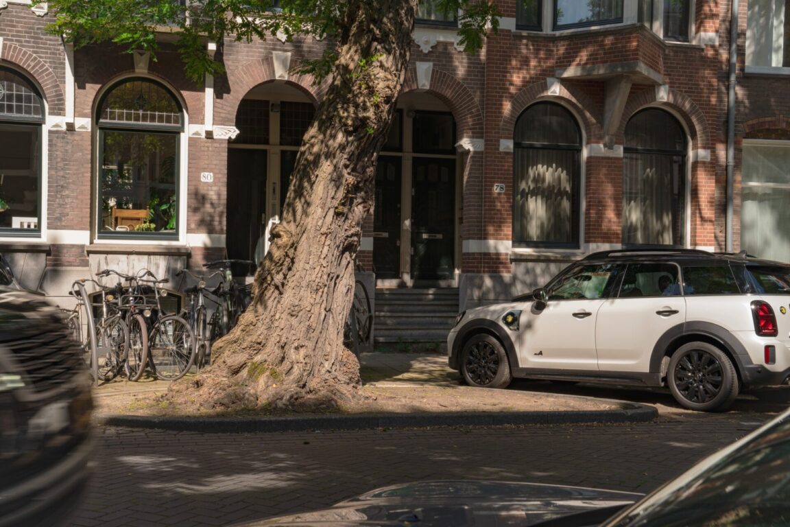 BVB Landscaping - Van Breestraat Amsterdam