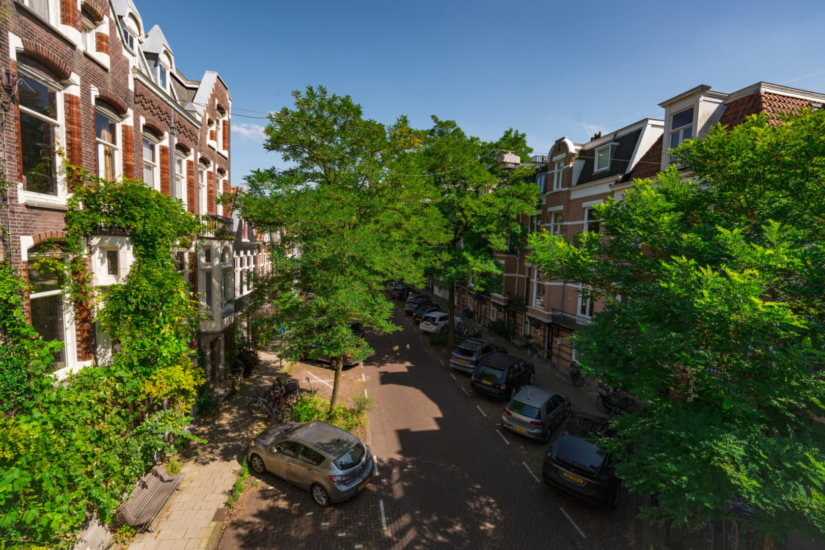 BVB Landscaping Amsterdam Van Breestraat stadsbomen